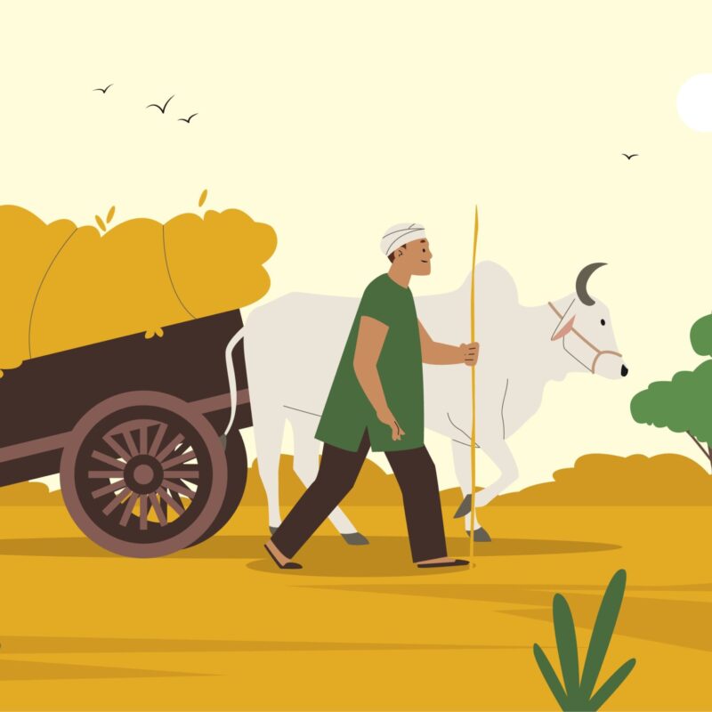 Advantages and Disadvantages of Agriculture Loans